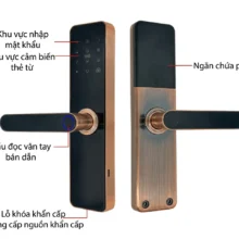 Khóa vân tay cửa gỗ màu đồng nhỏ Kenitsu ND05