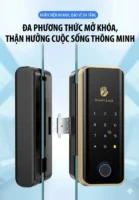 Khóa cửa vân tay cho cửa kính văn phòng với đa phương thức mở khóa thông minh.