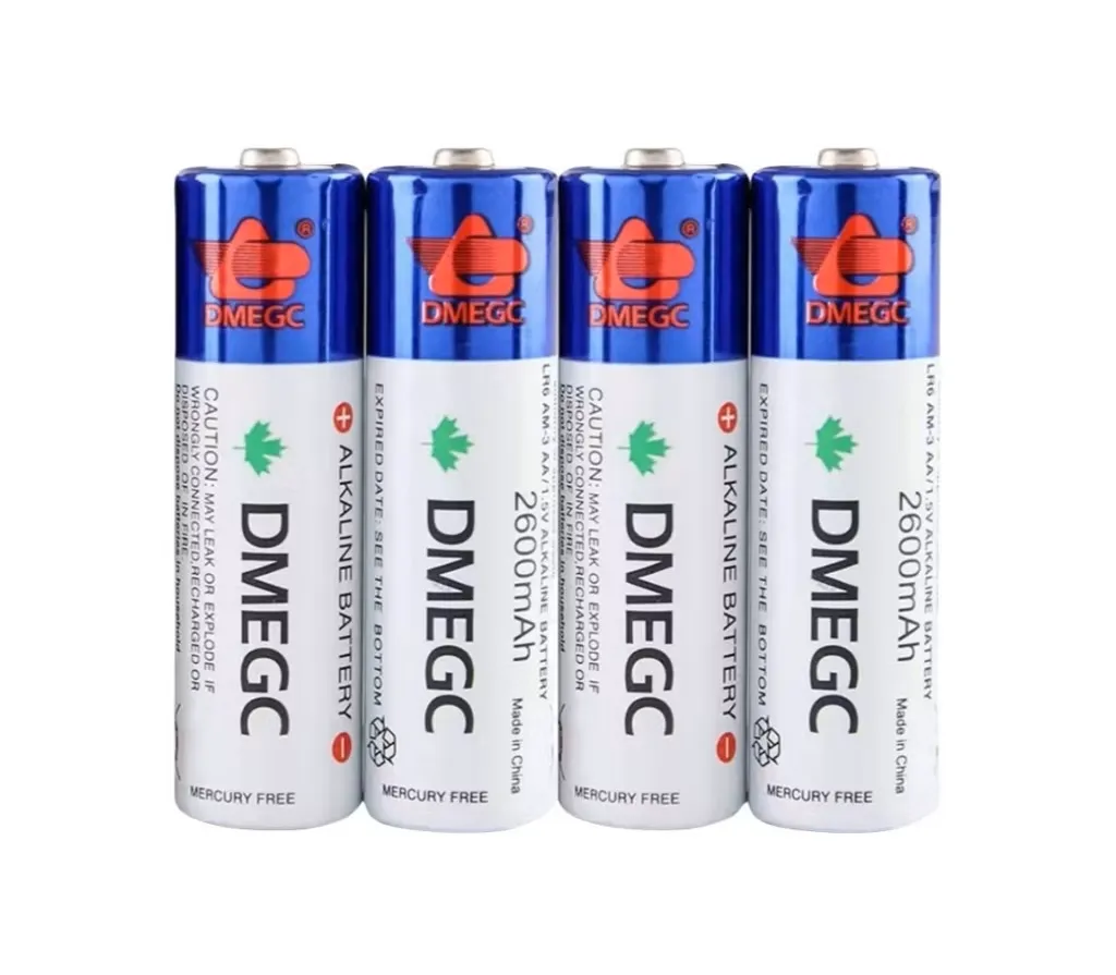 Khóa Điện Tử Dùng Bao Lâu Thì Hết Pin? 2 Pin Alkaline AA DMEGC chính hãng cho khóa cửa điện tử